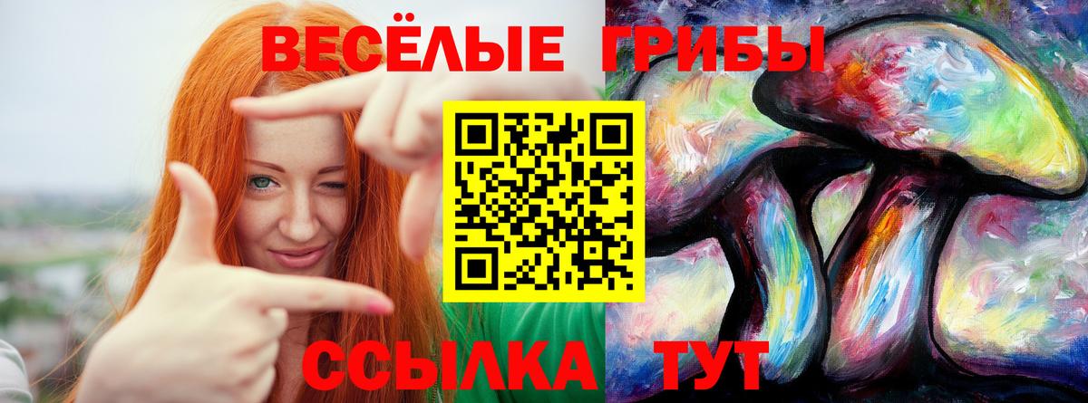 Галлюциногенные грибы мухоморы Сосновый Бор