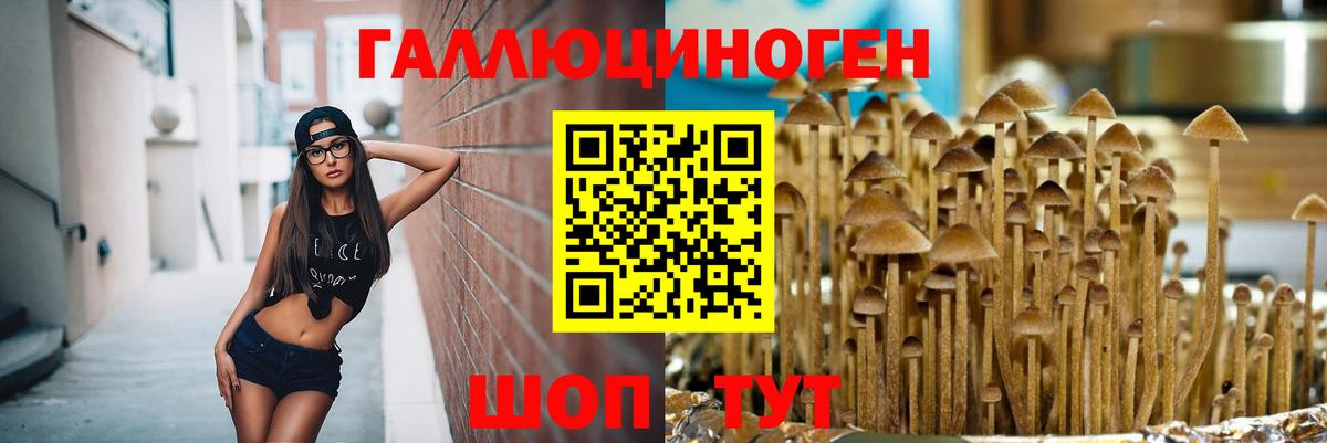 Псилоцибиновые грибы ЛСД  Галлюциногенные грибы Magic Shrooms  Вход с VPN  Сосновый Бор 